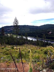 Lot 2 Dollar Creek Dr
