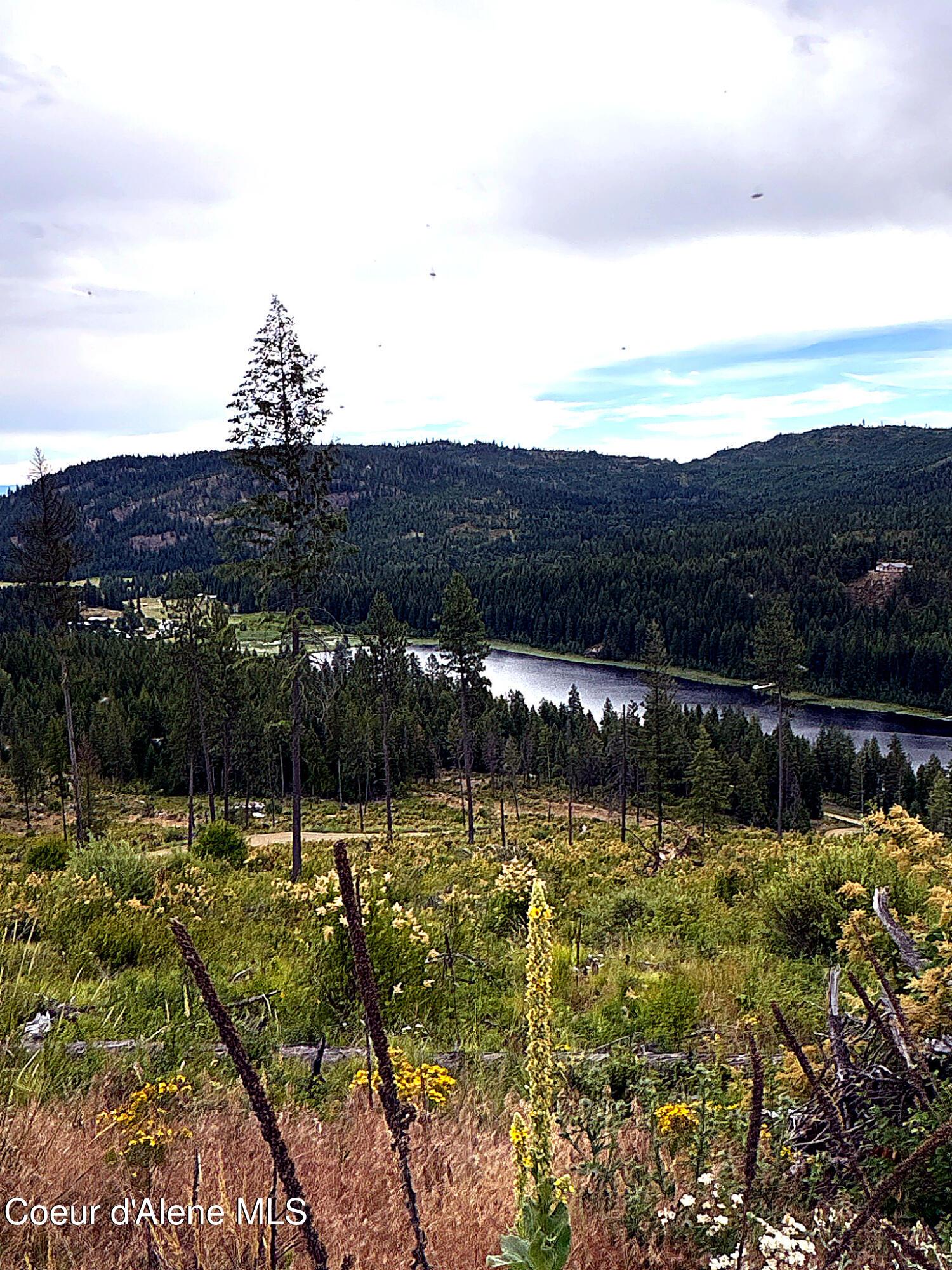 Image 1: IMG_0786_MLS