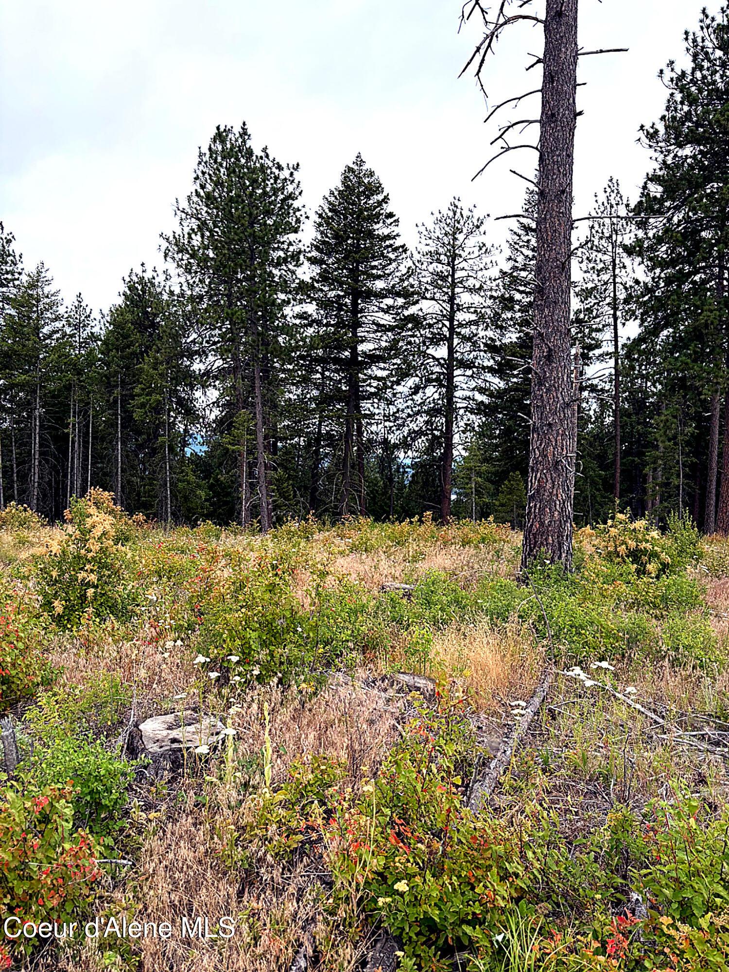 Image 4: IMG_0810_MLS