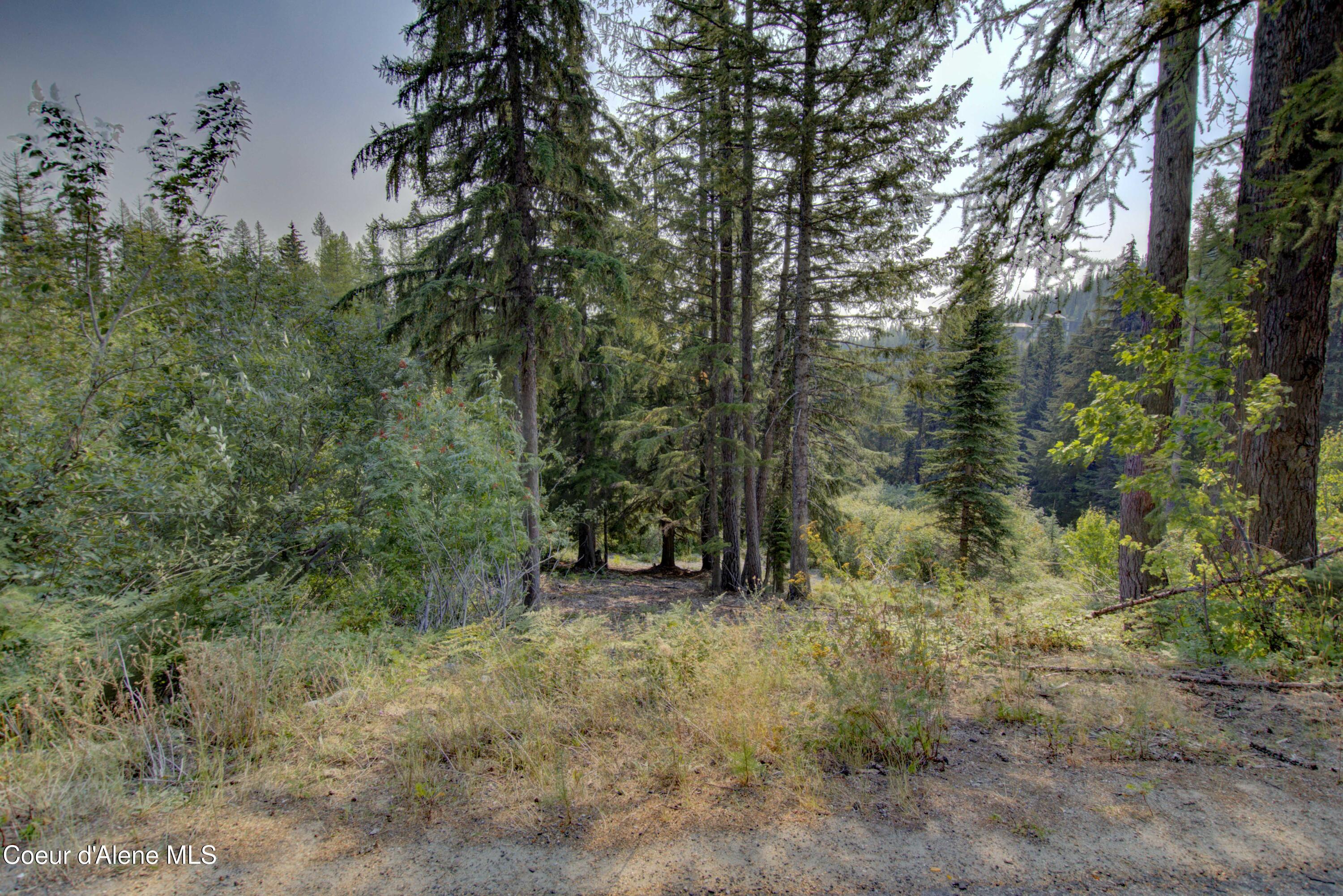 Image 2: Ullr 4