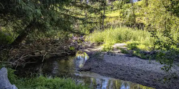 Image 3: Sand Creek