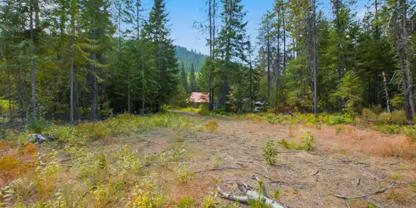 Image 2: 26-Nka 20 ac Butler Creek Rd_RedHogMedia