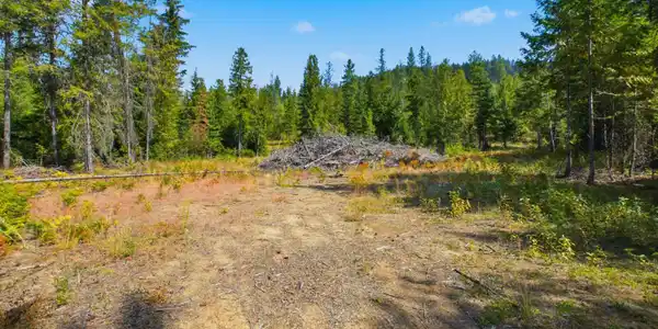 Image 3: 20-Nka 20 ac Butler Creek Rd_RedHogMedia