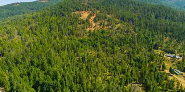 Image 4: 02-Nka 20 ac Butler Creek Rd_RedHogMedia