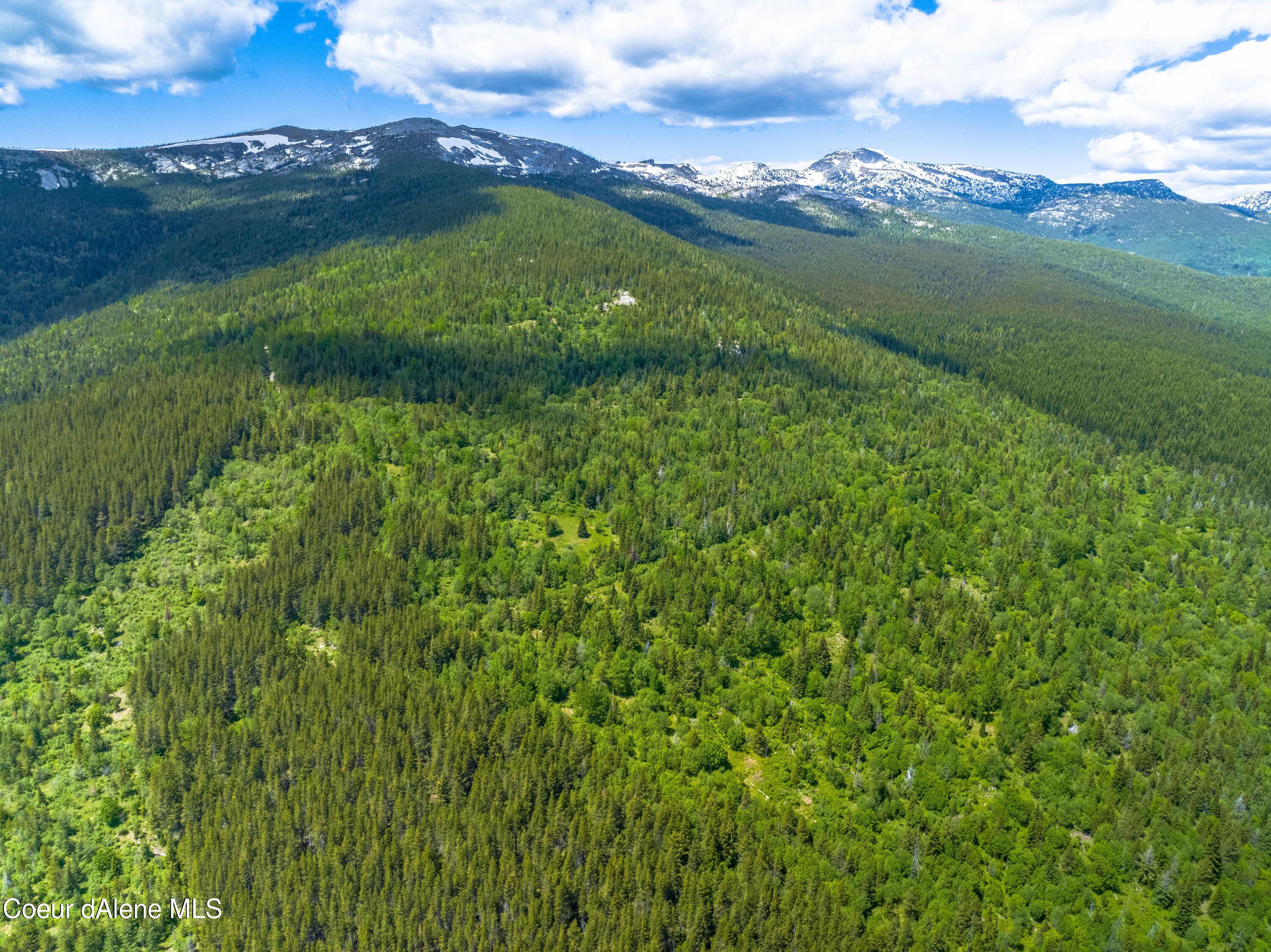 Image 1: Fabulous 160 acres