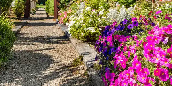 Image 2: Garden Walkway