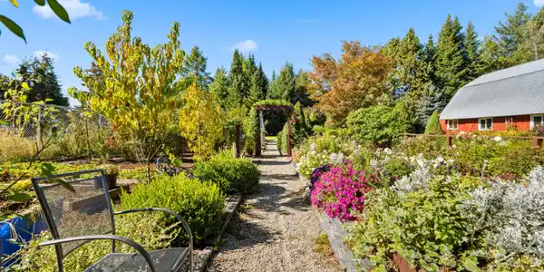 Image 3: Garden 2