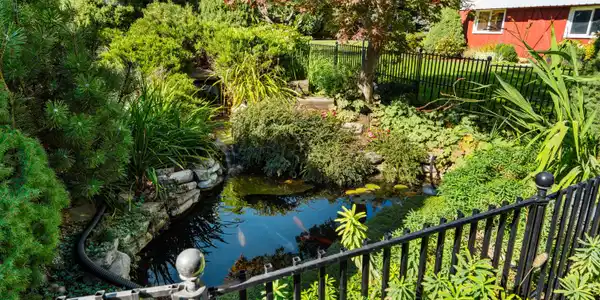 Image 4: Pond