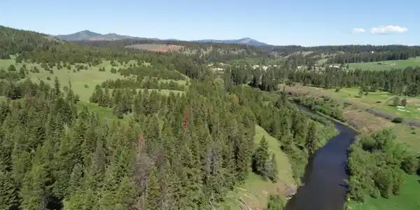 Image 4: 4