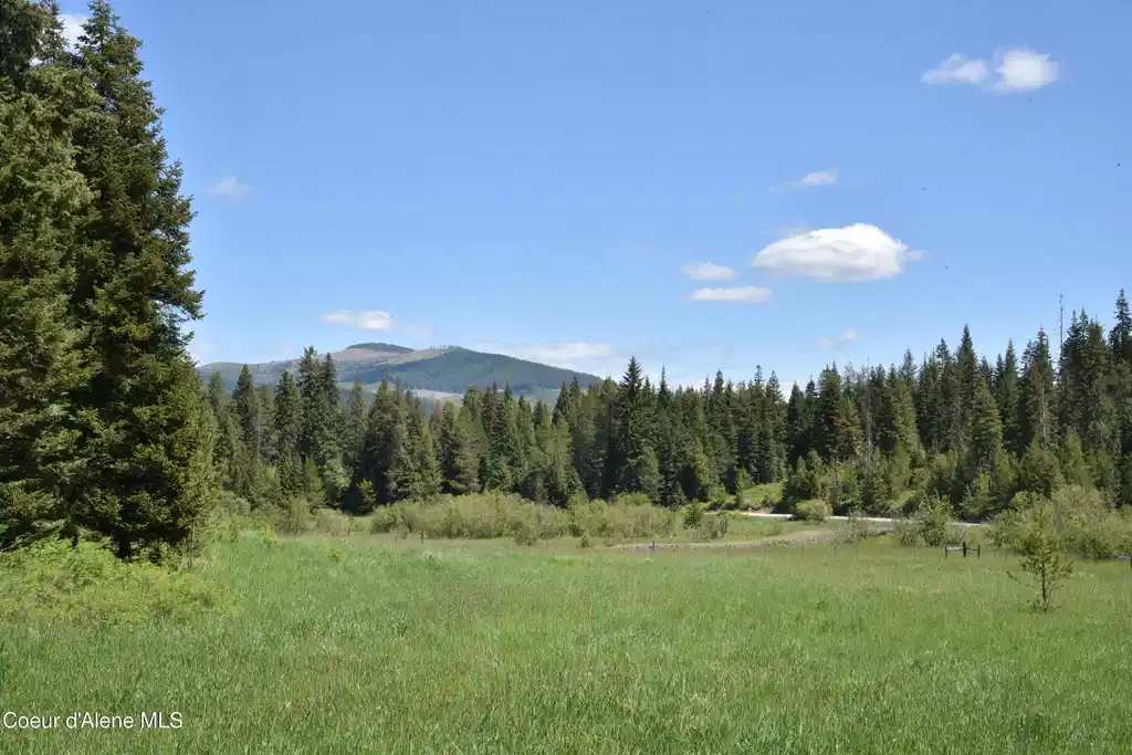 Image 1: 1