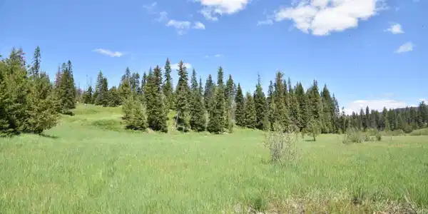 Image 3: 3