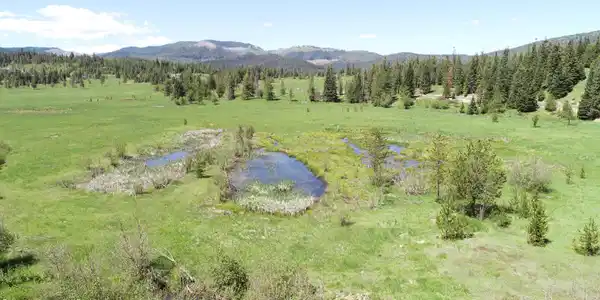 Image 4: 4