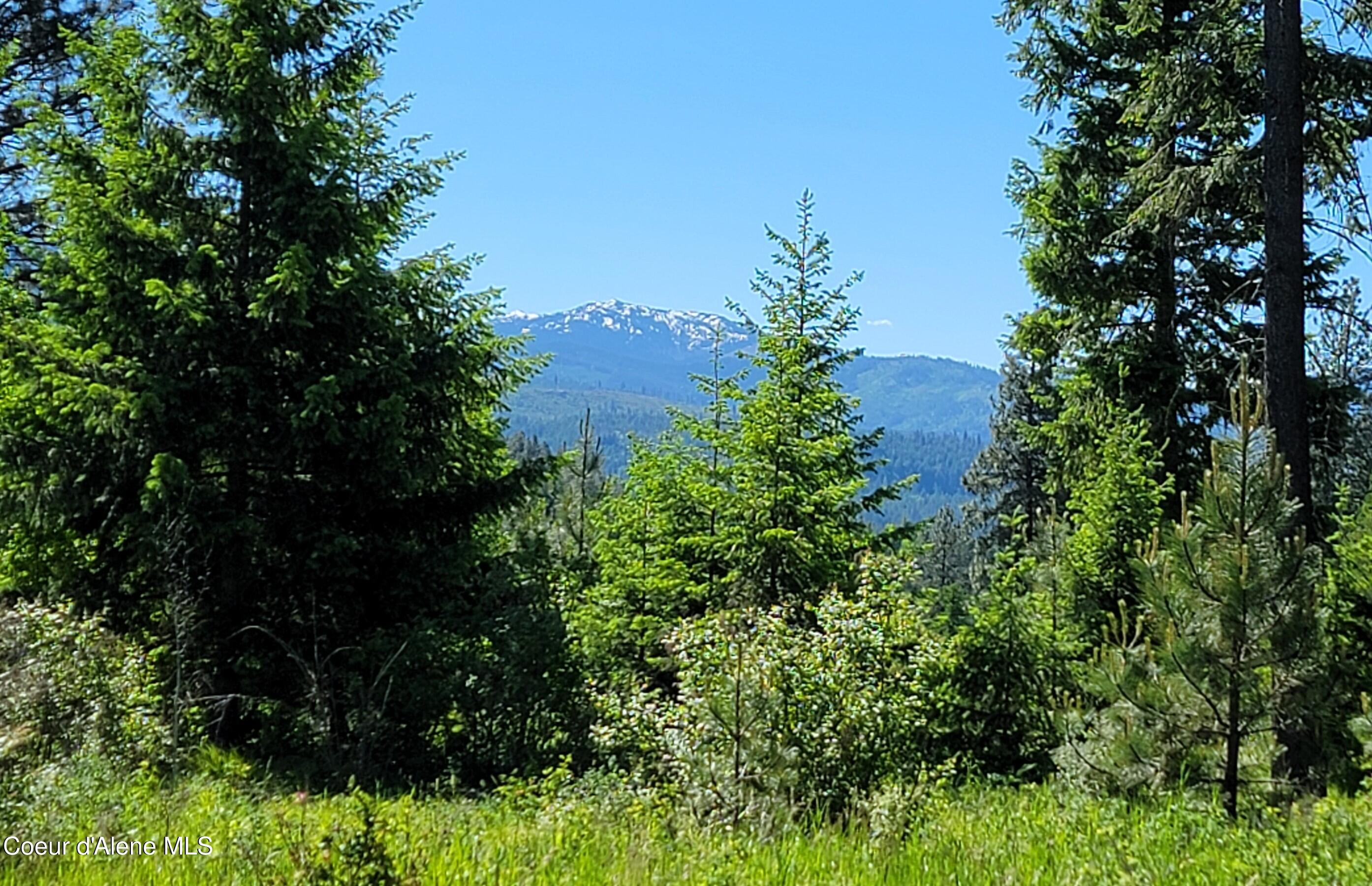 Image 1: View from Property