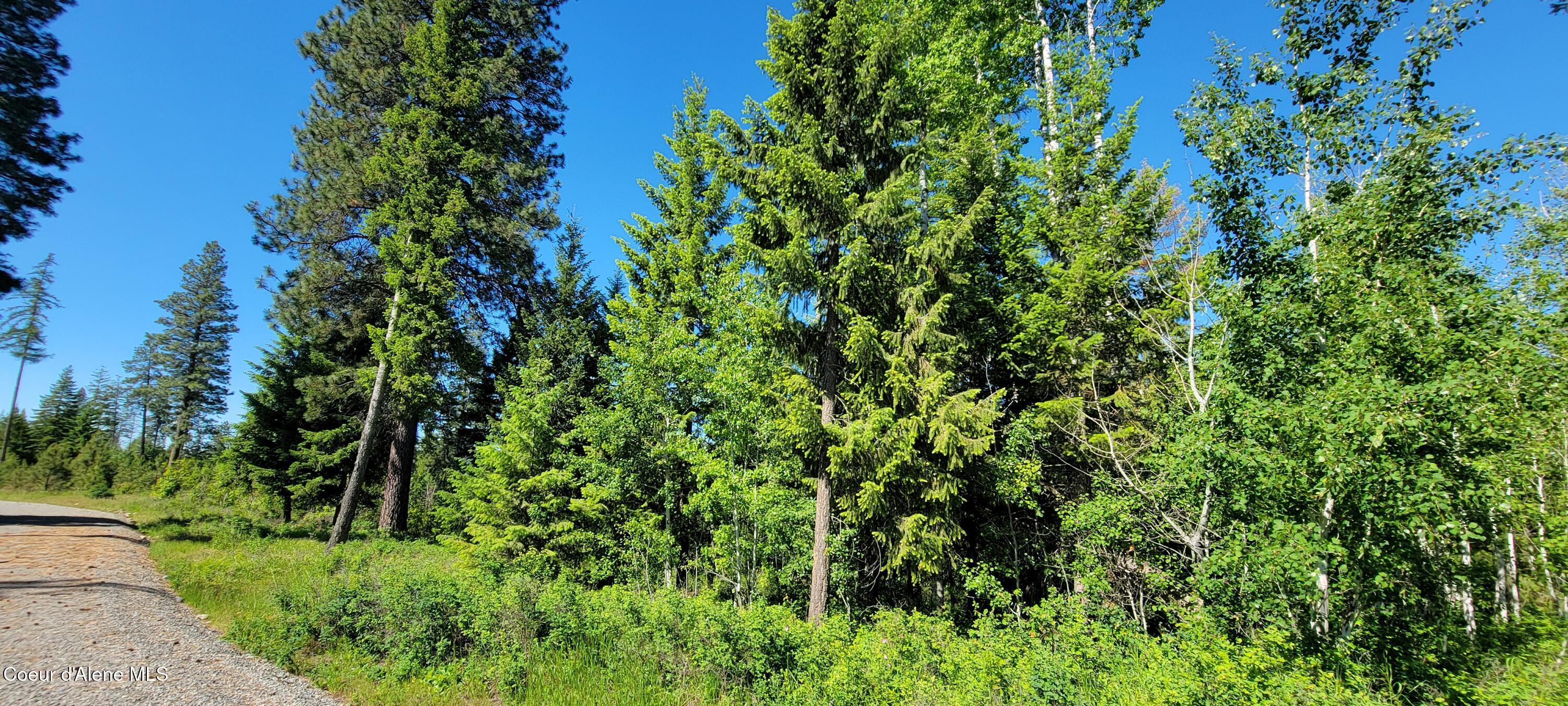 Image 2: 20240607_094754