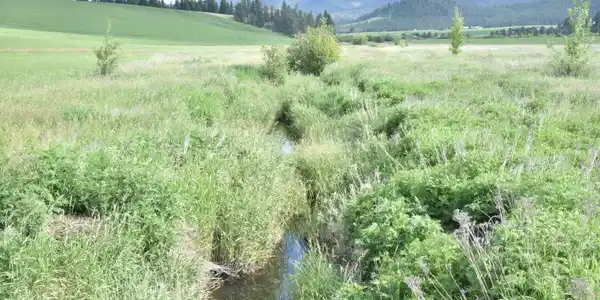 Image 3: 3