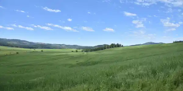 Image 4: 4