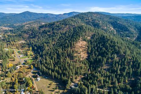 NKA W Wolfs Lodge