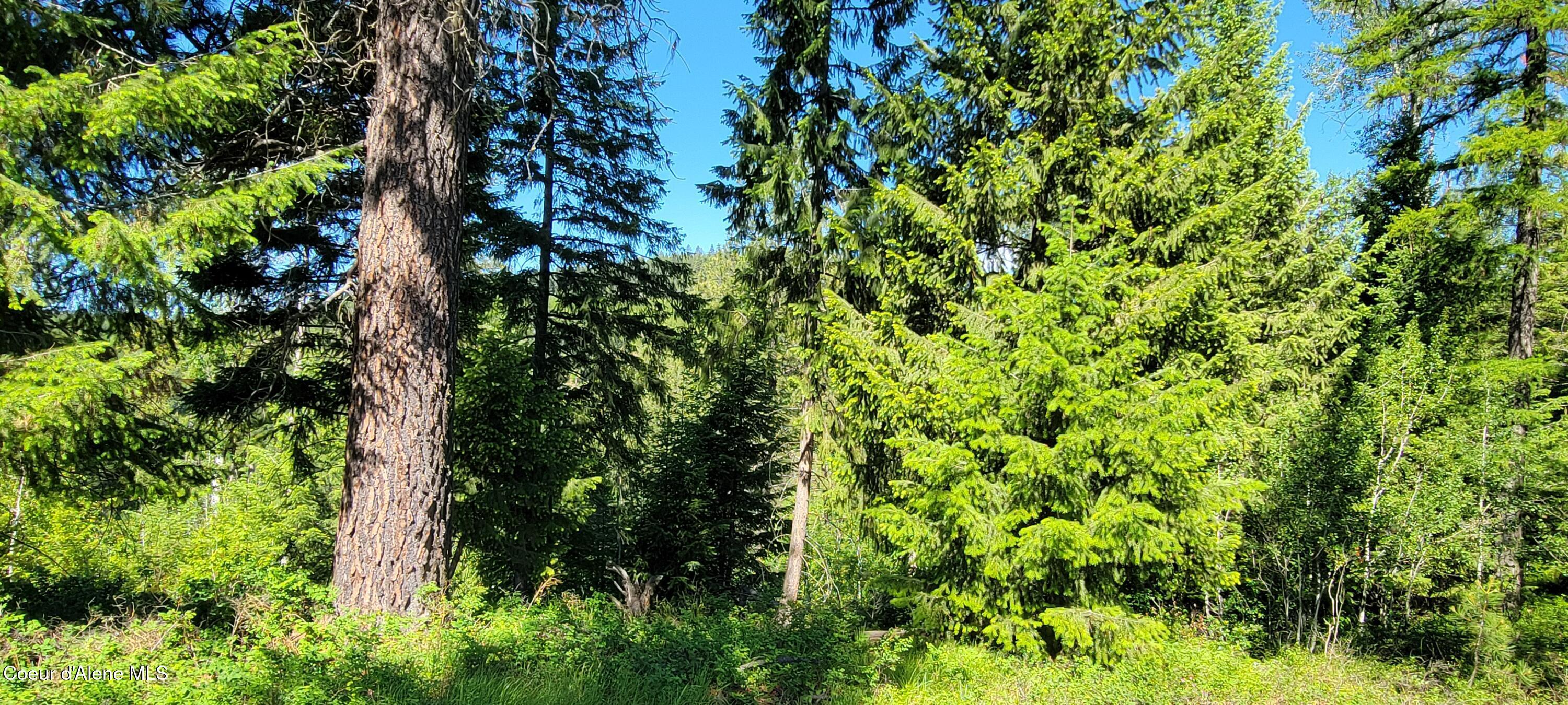 Image 3: 20240607_094824