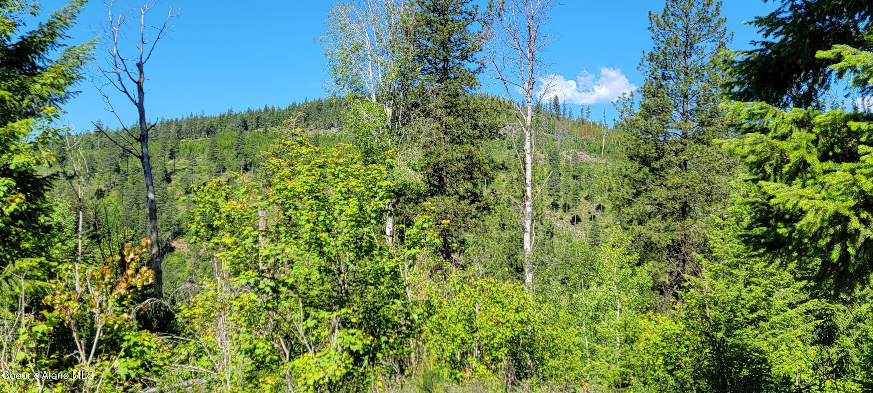 Image 4: 20240607_094850