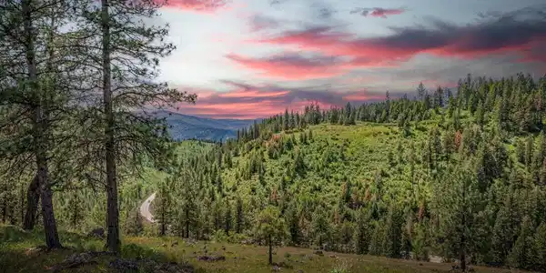 Image 2: 17 Acres with View