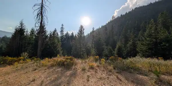 Image 3: Daisy Gulch 20.02 Acres