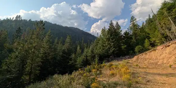Image 4: Daisy Gulch 20.02 Acres