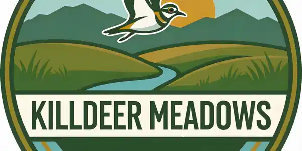 Image 2: Killdeer Meadows