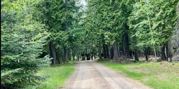 Image 4: drive