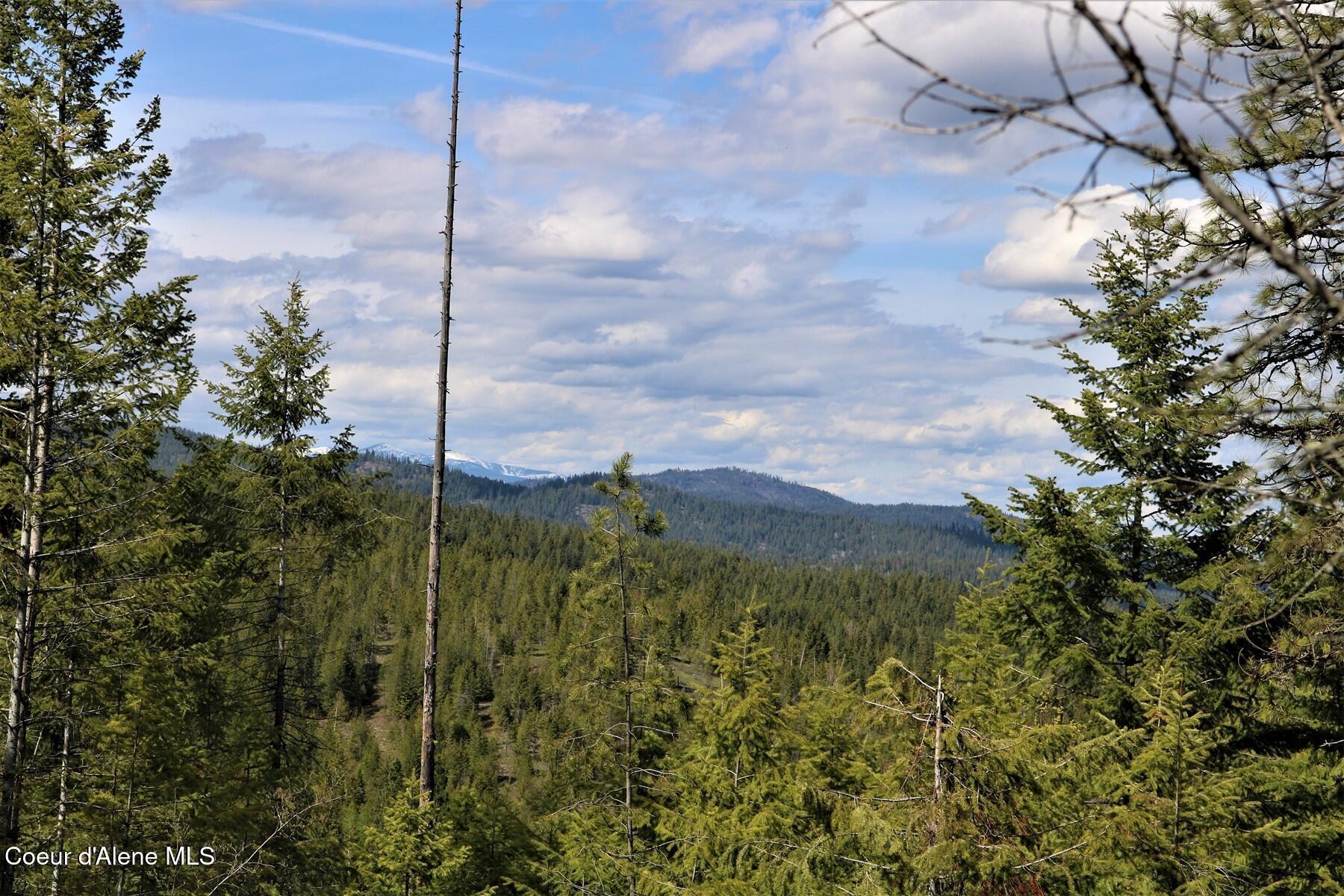 Image 1: Schweitzer Views