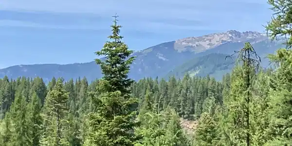 NNA Timber Ridge Trail