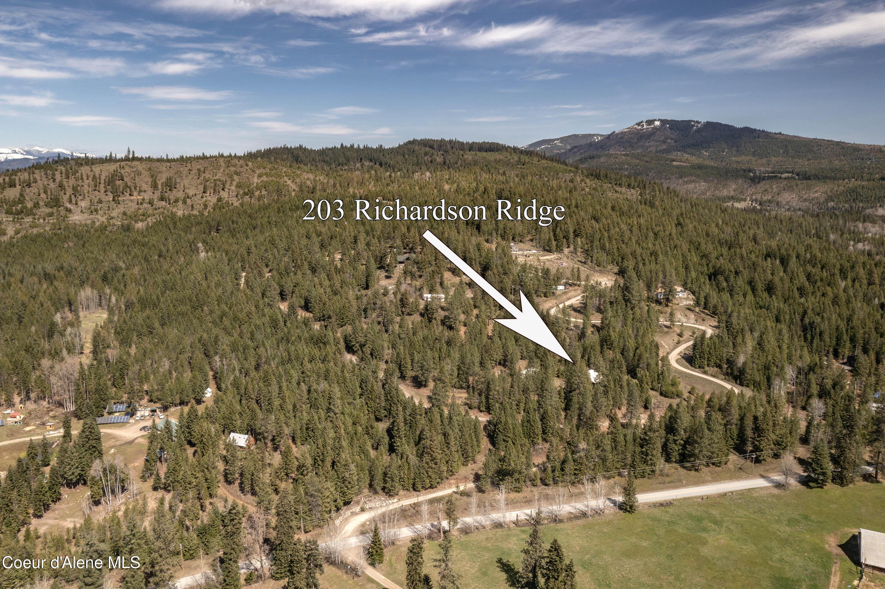 Image 2: Aerial 203 Richardson Ridge
