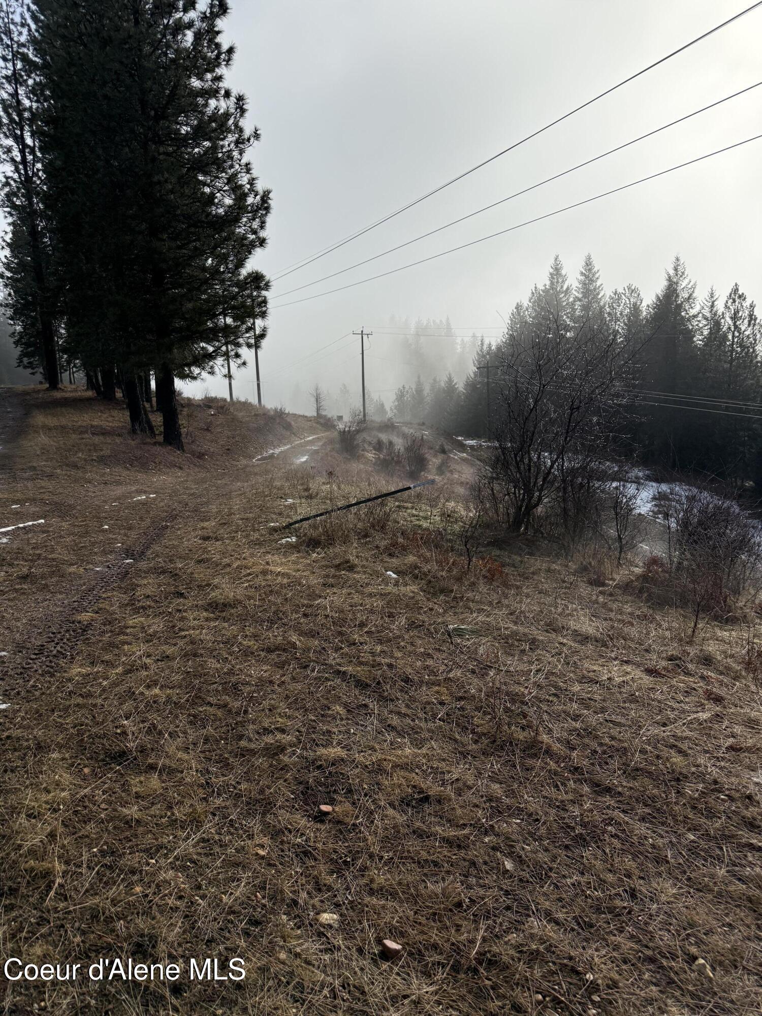 Image 3: IMG_0532