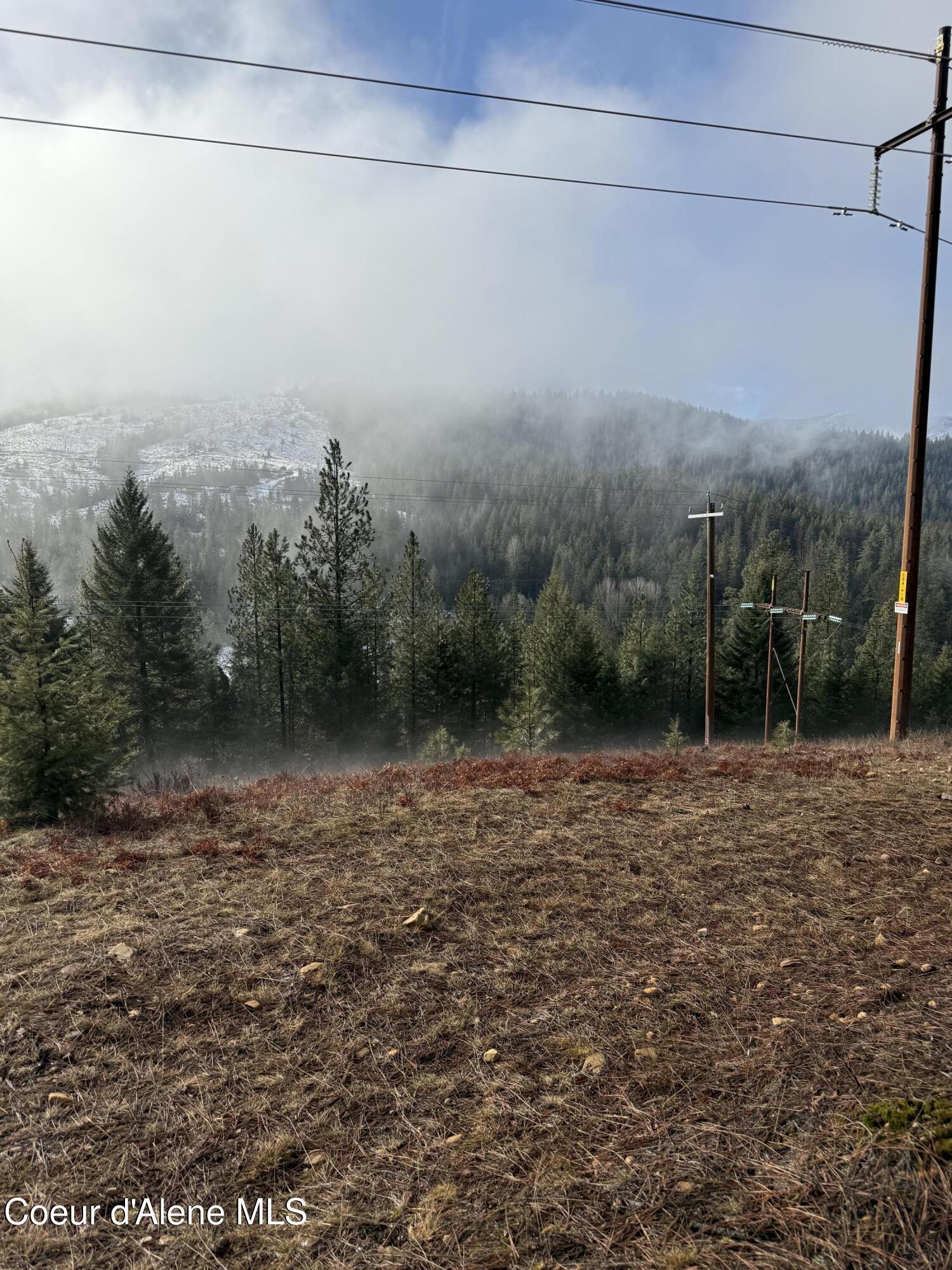 Image 4: IMG_0531