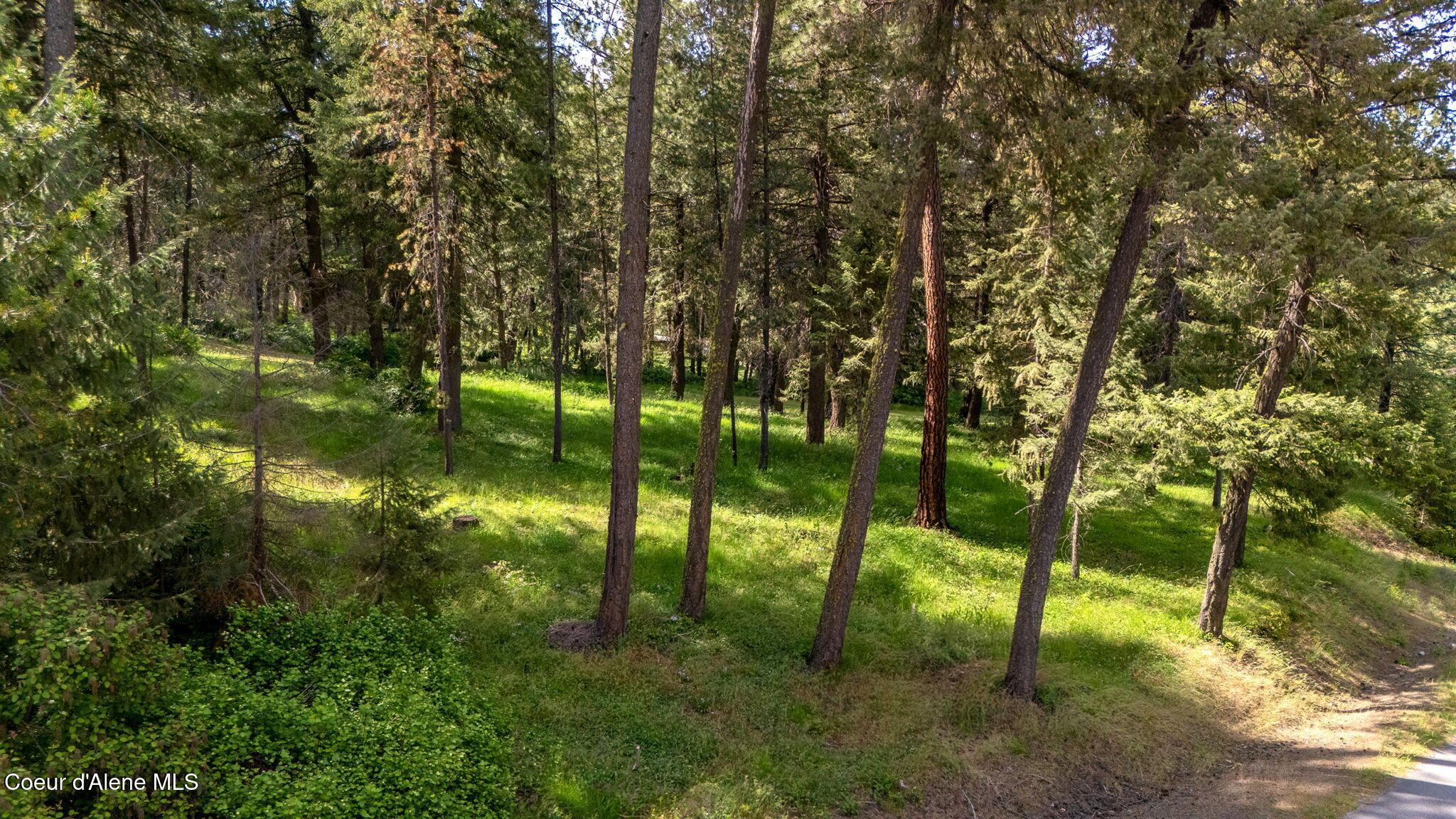 Image 2: 31-web-or-mls-SkyLight - Stoneridge (DM)