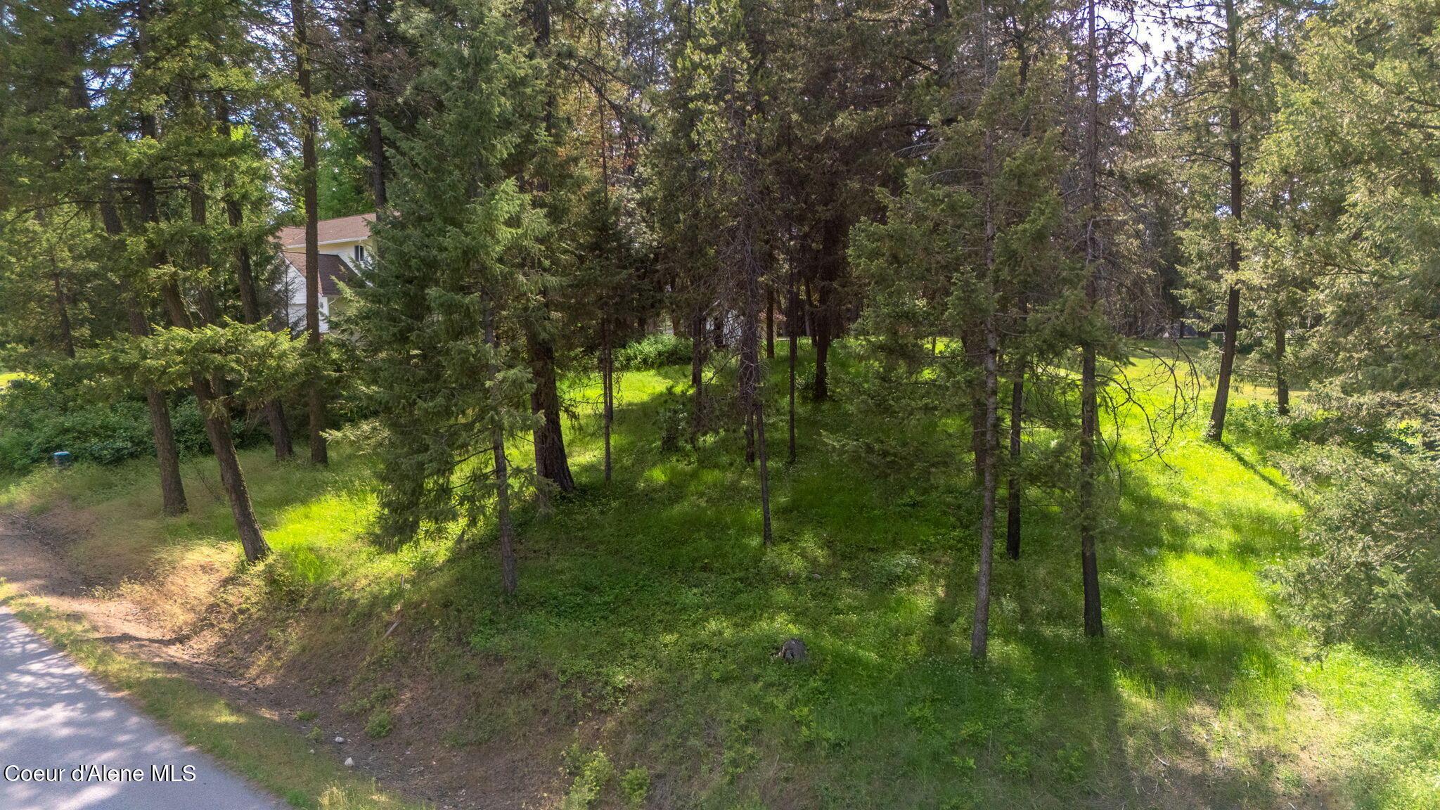Image 3: 32-web-or-mls-SkyLight - Stoneridge (DM)