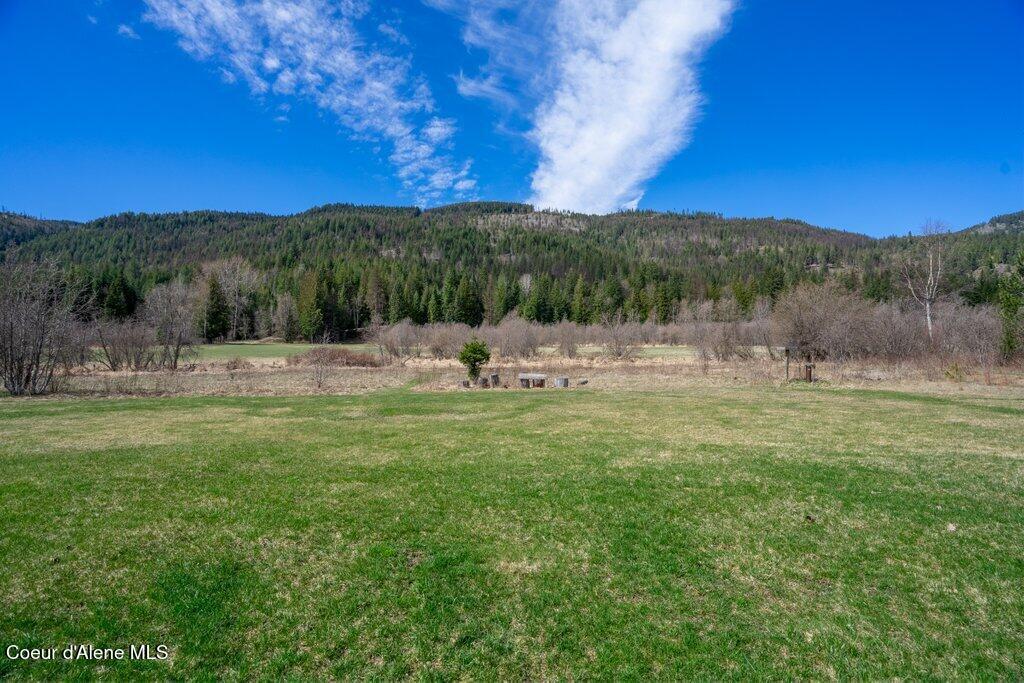 Image 3: Backyard