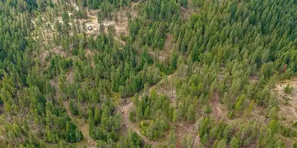 Image 3: 02-5418 Elk Rd 02