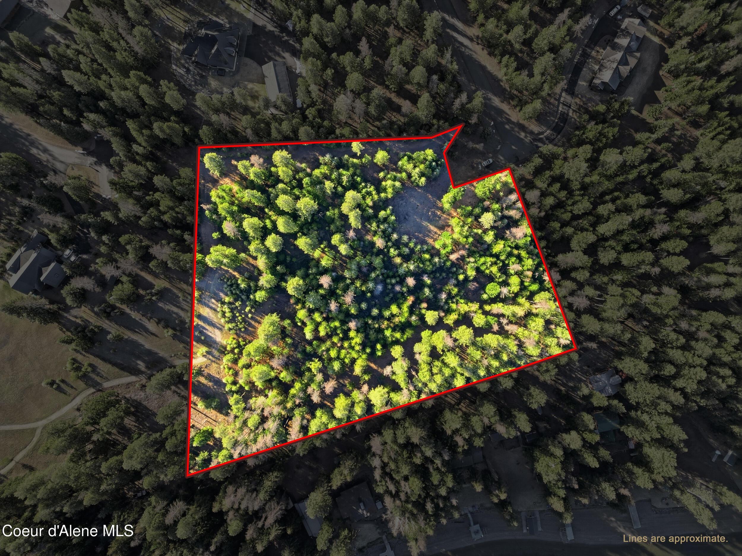 Image 4: 11_dji_0938a