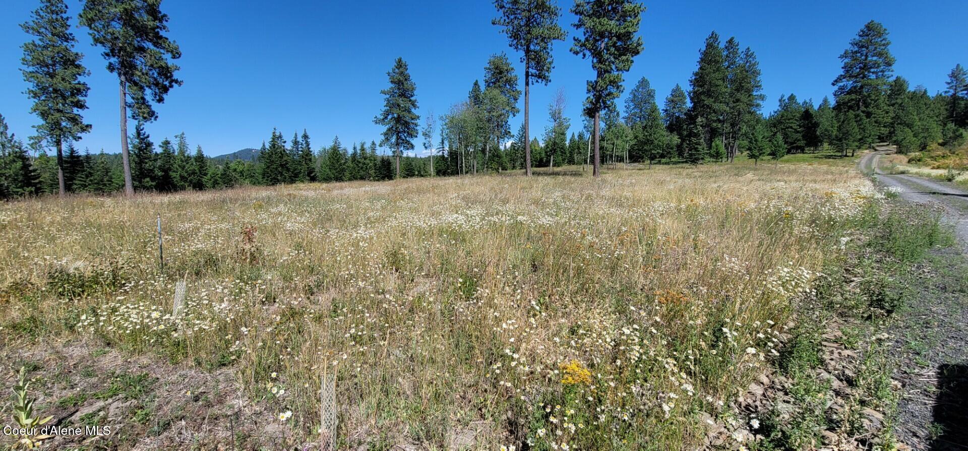 Image 3: Ranch Road Lot 6
