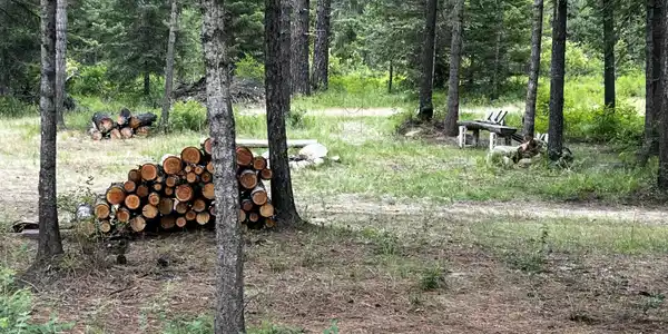 Image 2: Spirit Lake grounds- firewood ready