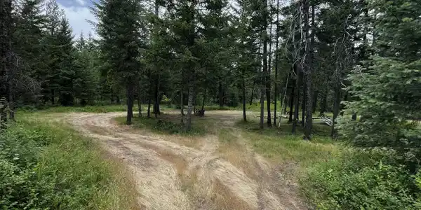 Image 4: Property 1