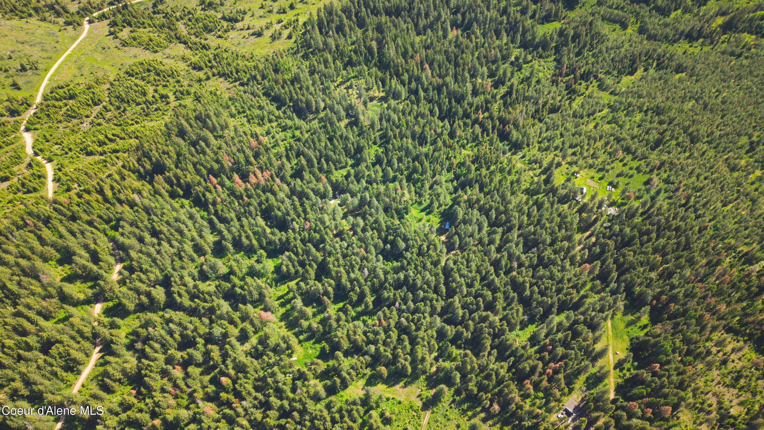 Image 3: DJI_20260523093846_0138_D