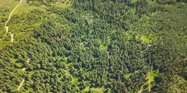 Image 3: DJI_20260523093846_0138_D