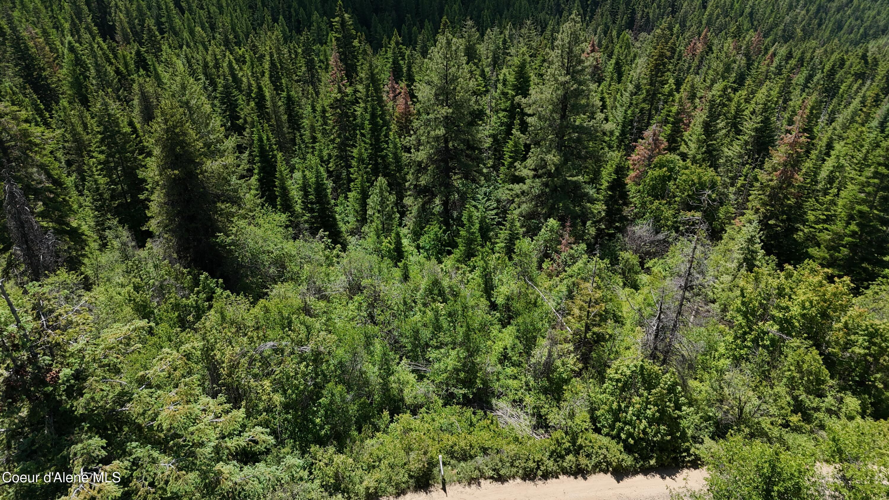 Image 2: 4