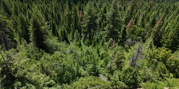 Image 2: 4