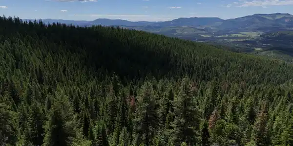 Image 4: 3