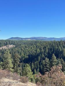 Lot 2 Flat Creek Rd