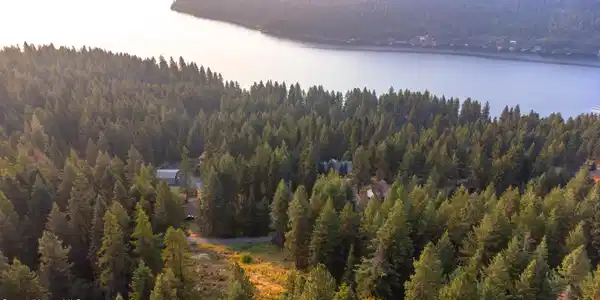 Image 3: DJI_0311