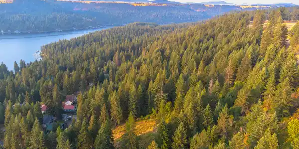 Image 4: DJI_0320
