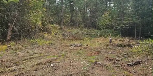 Image 2: 3